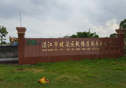 918搏天堂藕粉粉丝粉条出产线已经在昌都莲藕合作社起头工作了