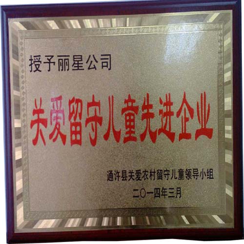 918搏天堂公司留守儿童关爱先进企业