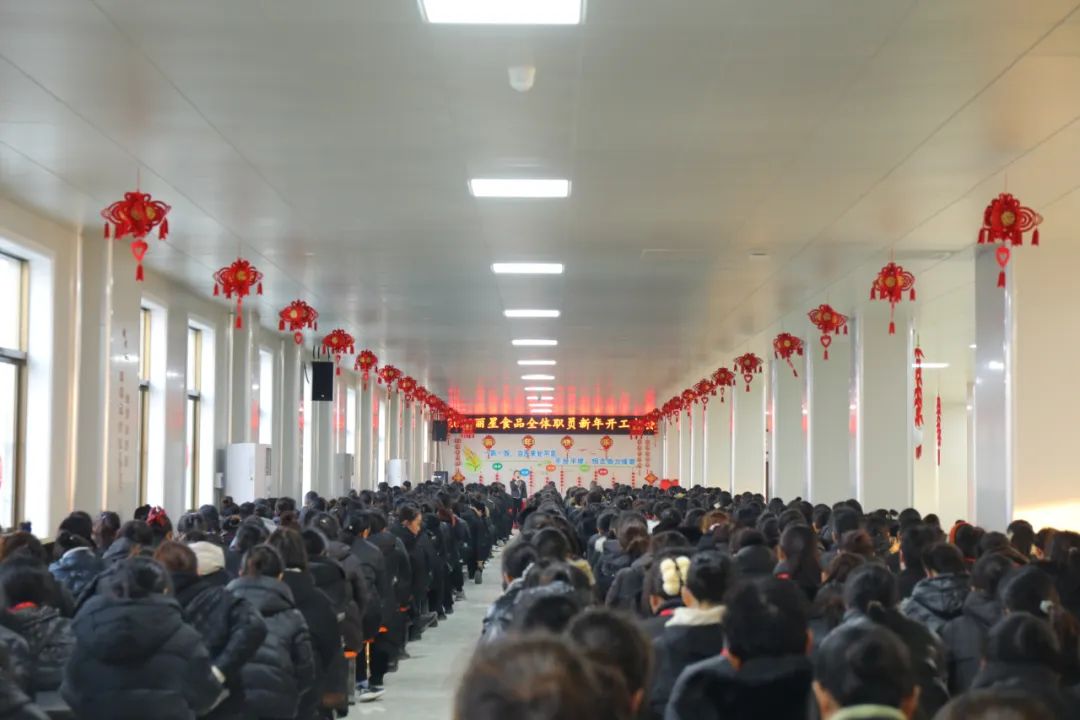 玉兔迎新春，，，，，，，，奋进新征程