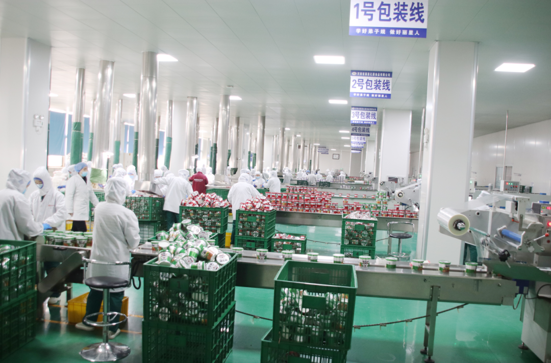 方便粉丝出产线厂家918搏天堂