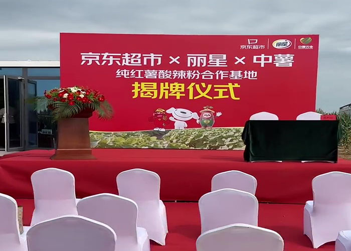 三方联建红薯基地，，，，，918搏天堂粉丝加工设备主题优势显著
